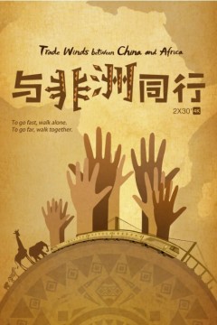与非洲同行