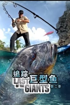 追踪巨型鱼第二季