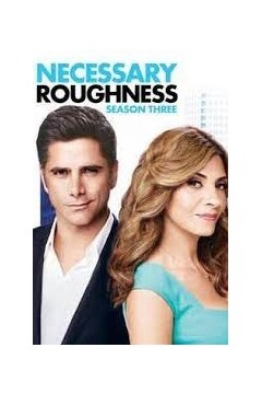 辣女队医第三季