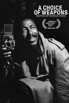 武器选择：灵感来自戈登·帕克斯