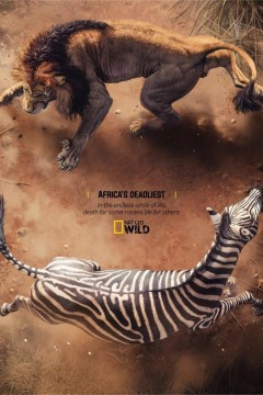 非洲致命动物第六季
