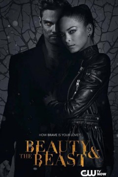 侠胆雄狮第三季