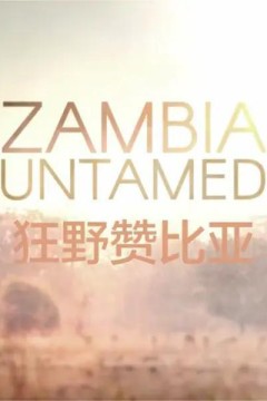 狂野赞比亚