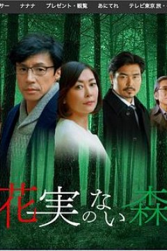 没有花与果实的森林