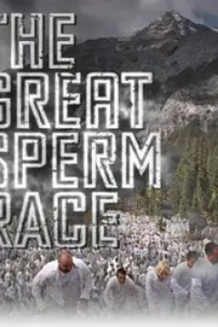 精子生命大赛跑