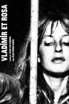 弗拉基米尔和罗莎