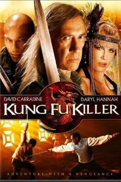功夫杀手