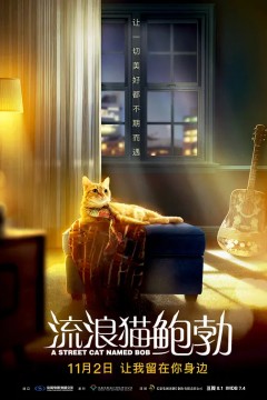 流浪猫鲍勃2016