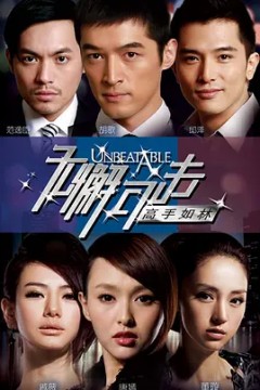 无懈可击之高手如林2011