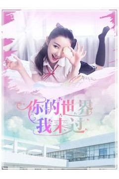 你的世界我来过