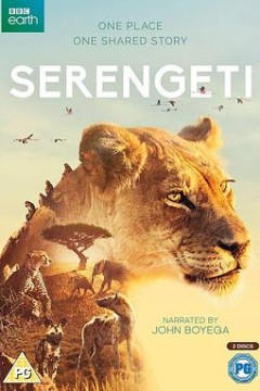 塞伦盖蒂第一季