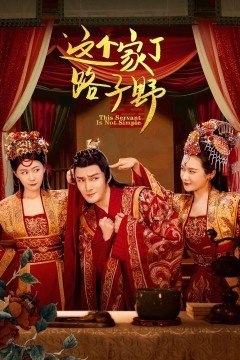 这个家丁路子野