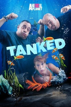 百变水族箱第三季