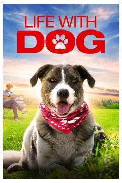 与狗的生活
