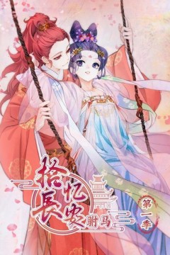 拾忆长安驸马第一季