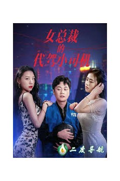 女总裁的代驾小司机