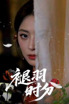 褪羽时分