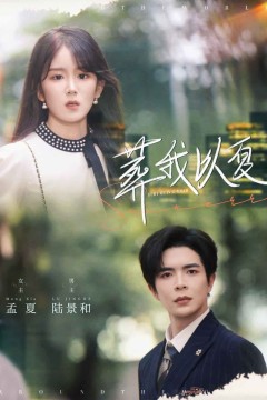 葬我以夏