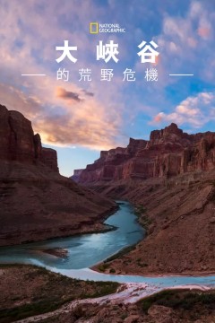 大峡谷的荒野危机
