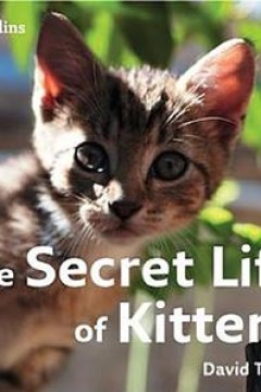 小喵的秘密第一季