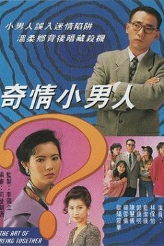 奇情小男人粤语