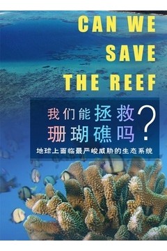 我们能拯救珊瑚礁吗