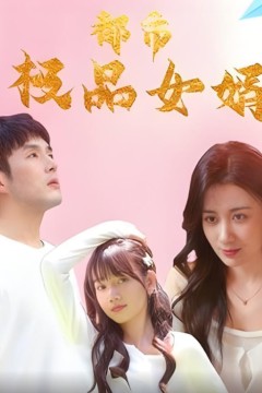 都市极品女婿(都市逍遥女婿)