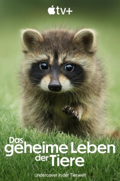 动物的秘密生活第一季