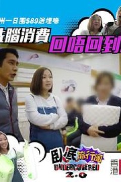 臥底旅行团3.0粤语