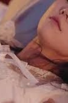 缅北战狼：孤注一掷