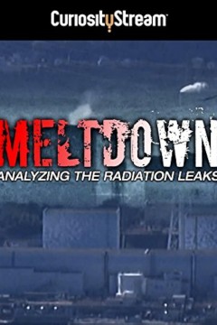 熔毁：分析辐射泄漏