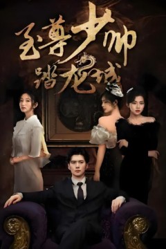 至尊少帅踏龙城