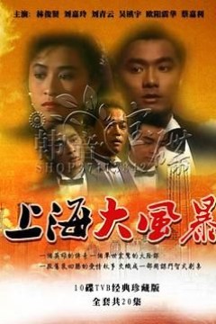 上海大风暴国语版