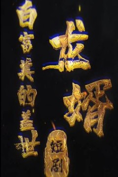 白富美的盖世龙婿