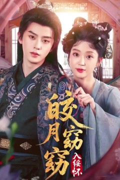 皎月窈窈入绥怀