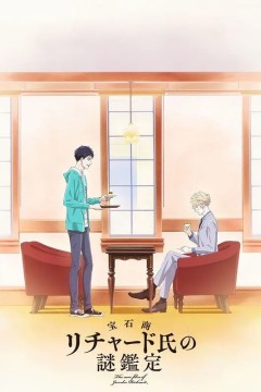 宝石商人理查德的谜鉴定宝石商