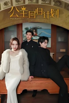公主回归计划