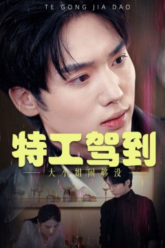 特工驾到大小姐闹够没&amp;特工驾到大小姐别闹了