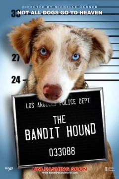 猎犬强盗(国语版)