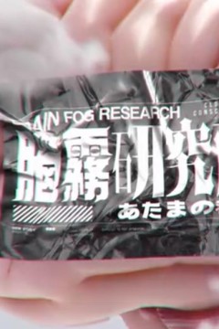 脑雾研究所粤语