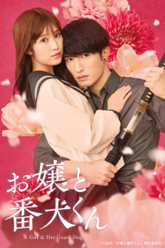 大小姐和看门犬