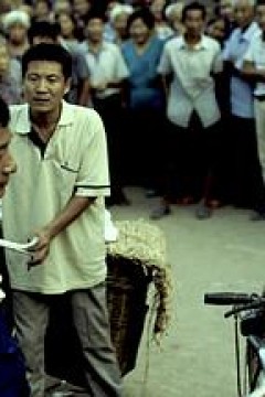 彩虹总在风雨后