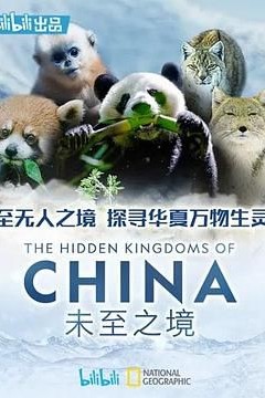 未至之境国语版