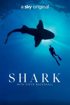 与鲨共舞第一季