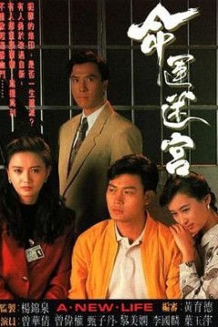 命运迷宫粤语版