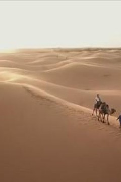 背游摩洛哥粤语