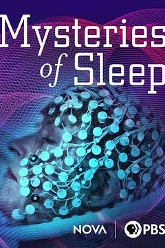 睡眠之谜