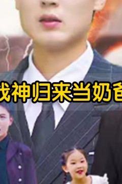 豪婿归来当奶爸