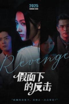 假面下的反击(她的伪装战书)