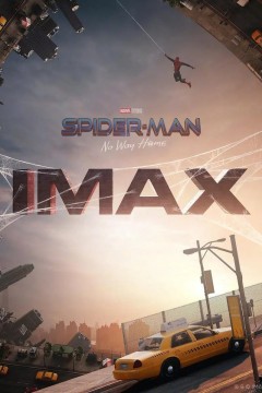 蜘蛛侠英雄无归